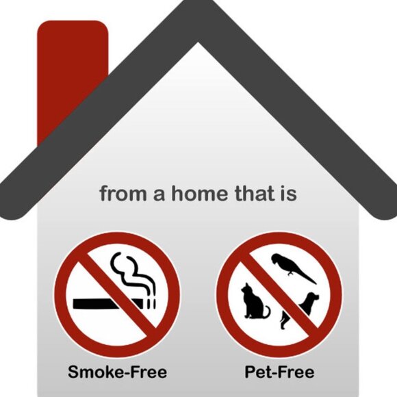 Boardwalk SAN DIEGO California Puzzle 500 pieces - Picture 9 of 9